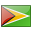 Guyana Flag