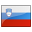 Slovenia Flag