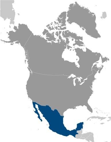Mexico Locator Map