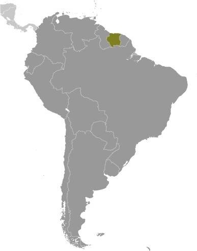Suriname Locator Map
