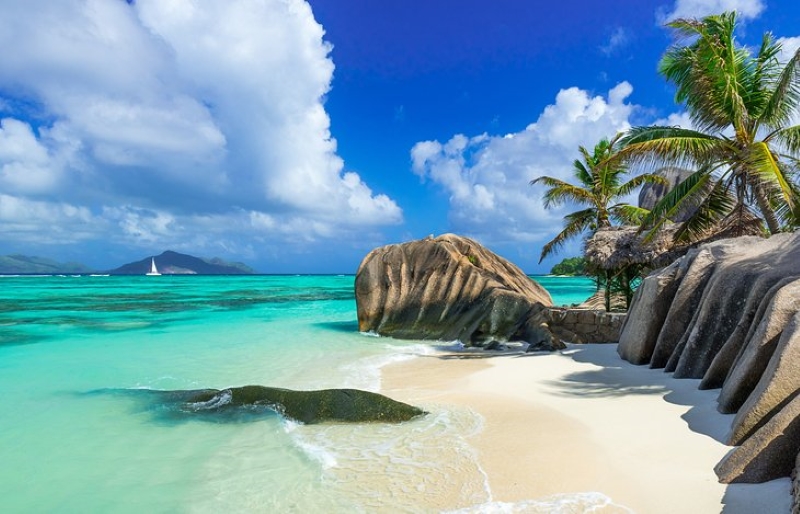 Seychelles Scene