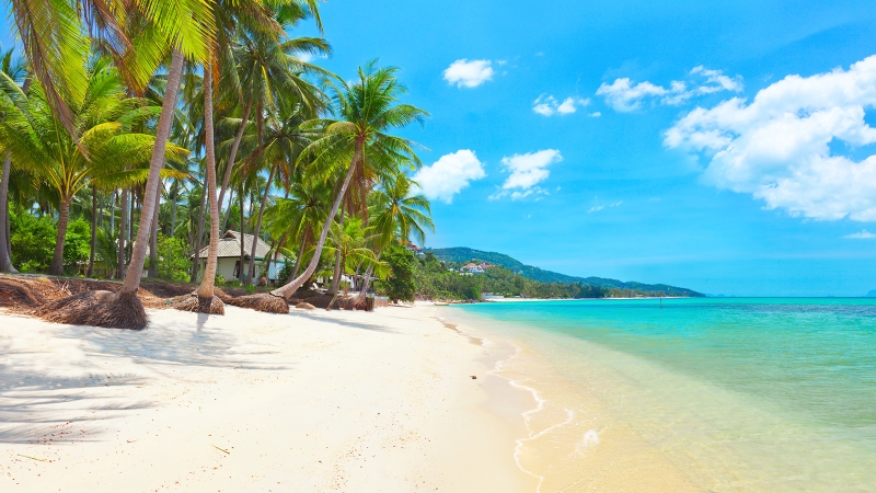 Koh Samui Scene